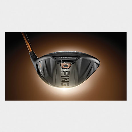 Print Signage Website Designs